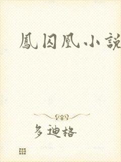 凤囚凰小说