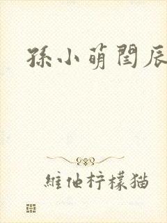 孙小萌闫辰封面