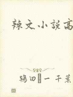 辣文小说高h