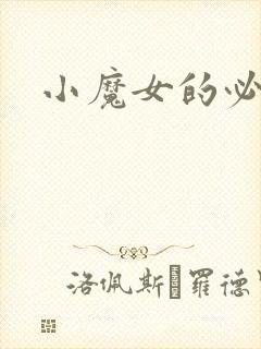 小魔女的必杀技封面