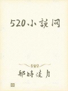 520小说网