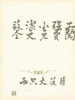苏洁小强工地情全文免费阅读