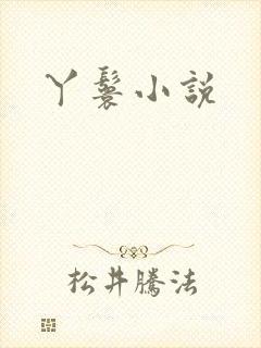 丫鬟小说