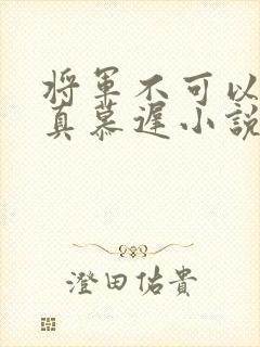 将军不可以魏云真慕迟小说笔趣阁封面
