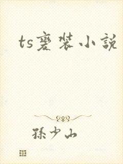 ts变装小说