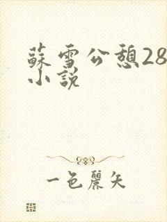 苏雪公憩28篇小说