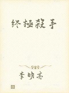 终极杀手封面