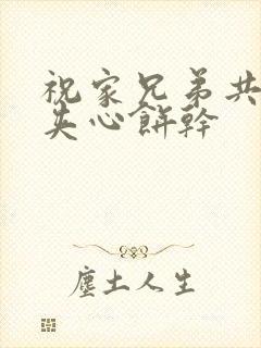 祝家兄弟共享后夹心饼干