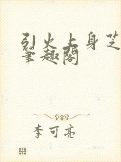 引火上身芝麻糖笔趣阁