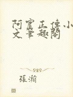 阿宾正传小说全文笔趣阁