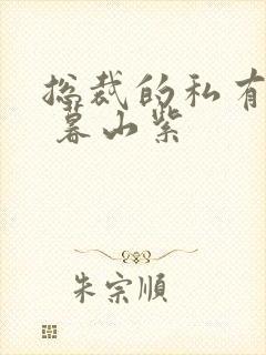 总裁的私有宝贝 暮山紫