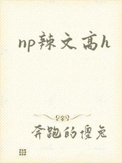 np辣文高h封面