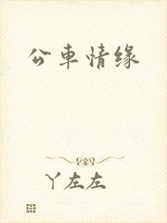 公车情缘
