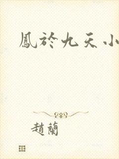 凤于九天小说