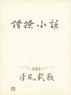 错撩小说封面