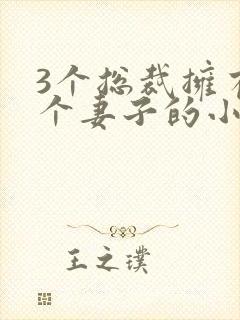 3个总裁拥有一个妻子的小说