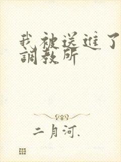 我被送进了私奴调教所