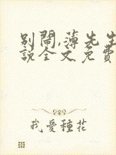 别闹,薄先生小说全文免费阅读