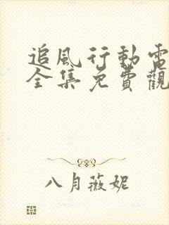 追风行动电视剧全集免费观看