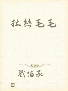 拉丝毛毛