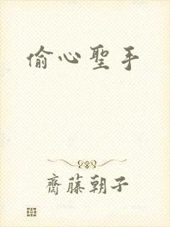 偷心圣手