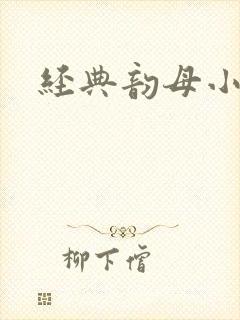 经典韵母小说