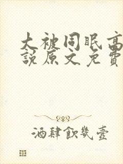 大被同眠高粱小说原文免费阅读