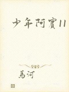 少年阿宾11封面