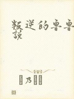 叛逆的鲁鲁修小说
