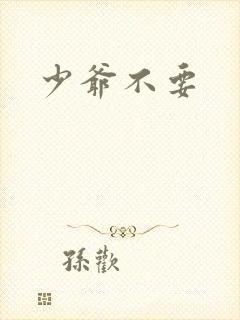 少爷不要