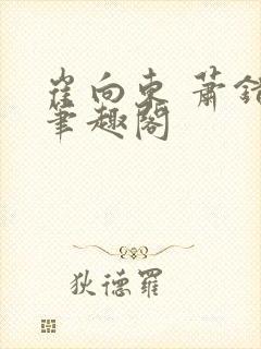 崔向东 萧错 笔趣阁