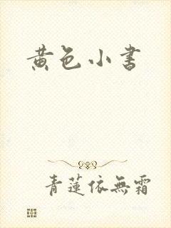 黄色小书