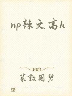 np辣文高h