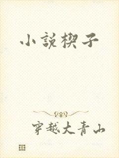 小说楔子