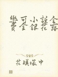乐可小说全文免费金银花露封面