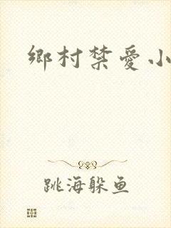 乡村禁爱小说