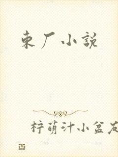 东厂小说