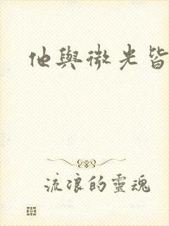 他与微光皆倾城