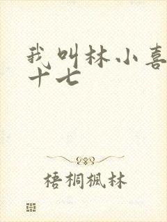 我叫林小喜今年十七