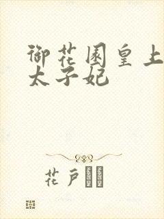 御花园皇上撞着太子妃