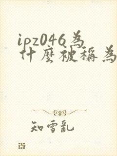 ipz046为什么被称为神作封面