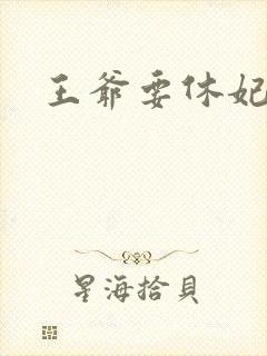 王爷要休妃封面
