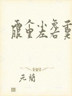 两个小兔子在衣服里左右晃