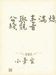 公与丰满熄4在线观看封面