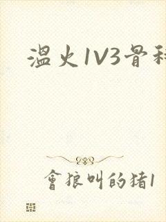 温火1V3骨科