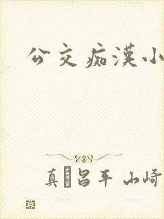 公交痴汉小说