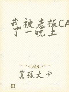 我被老板CAO了一晚上