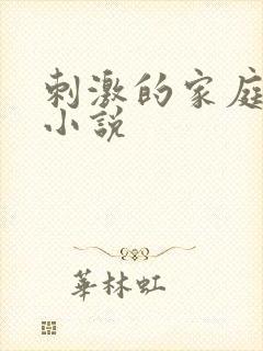 刺激的家庭乱仑小说