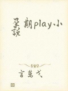 孕期play小说封面