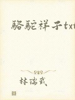 骆驼祥子txt